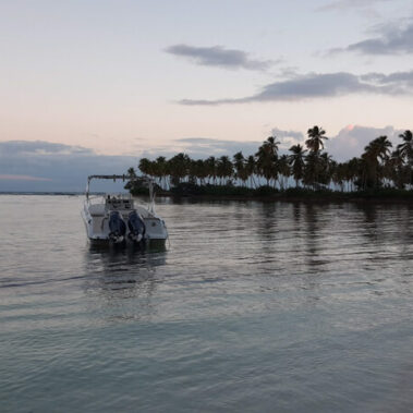 Palmen am Meer und Boot