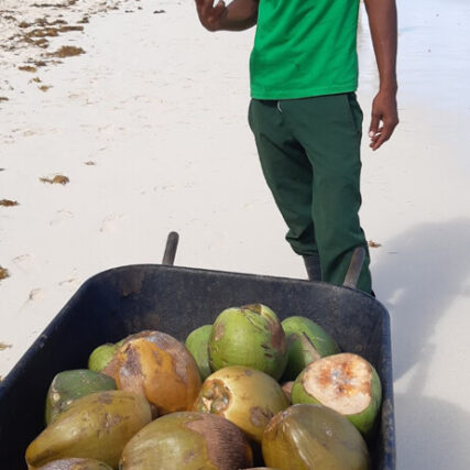 Einwohner mit Früchten