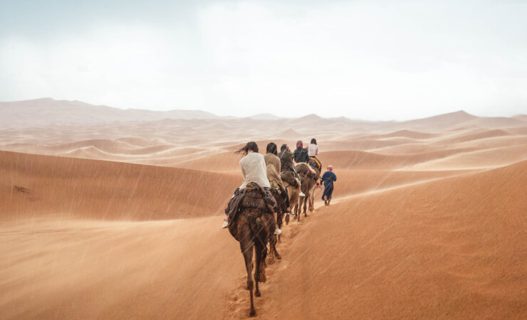 Auf Kamelen reiten in der Wüste
