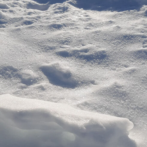 Schnee in der Sonne