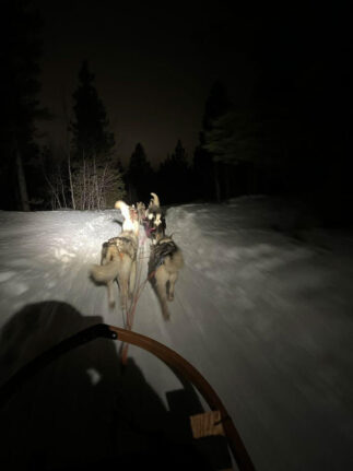 Nächtliche Schlittentour mit Huskys