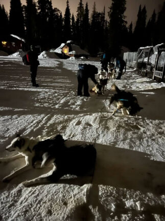Nächtliche Schlittentour mit Huskys