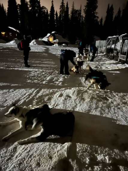Nächtliche Schlittentour mit Huskys