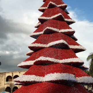 Weihnachtsbaum in Rot