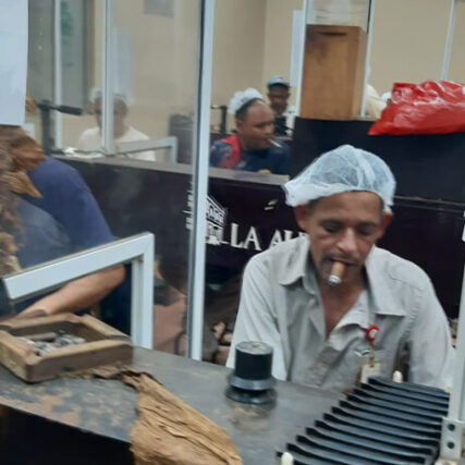 Mitarbeiter Zigarren