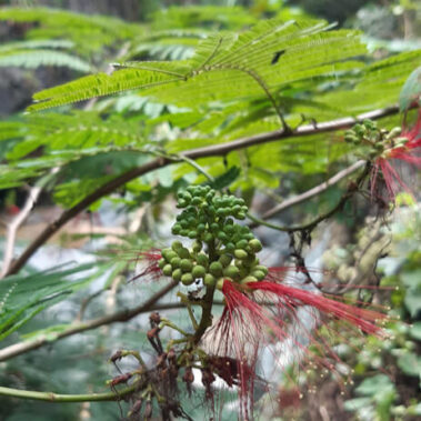 Urlaub in der Dominikanischen Republik